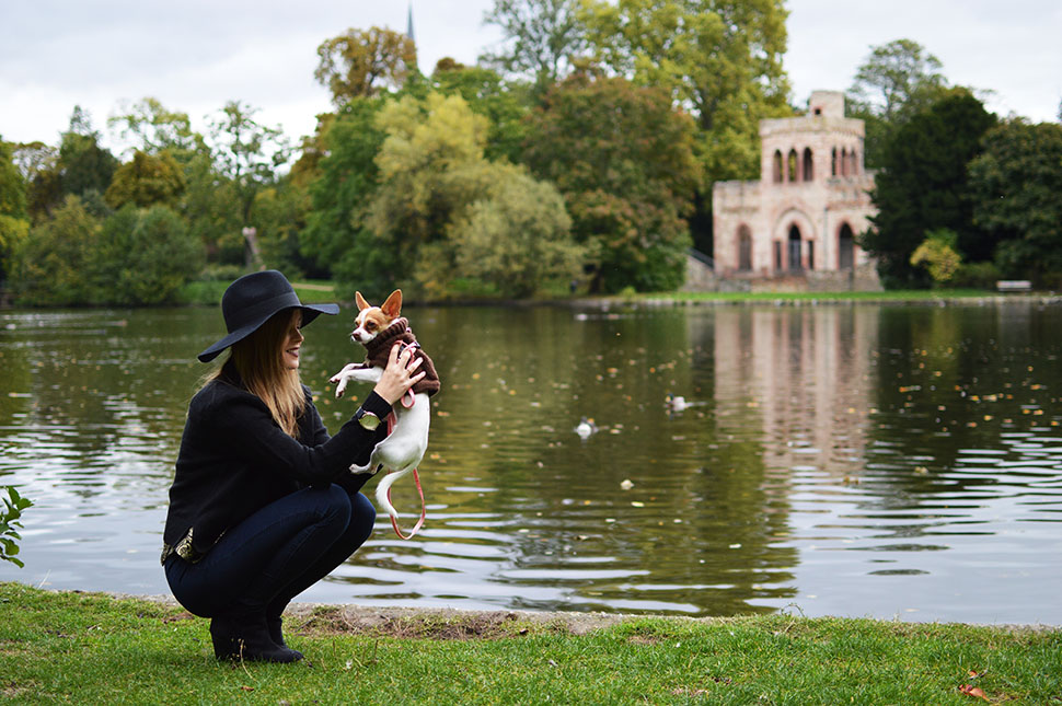 Autumn in Wiesbaden by Tamara Bellis